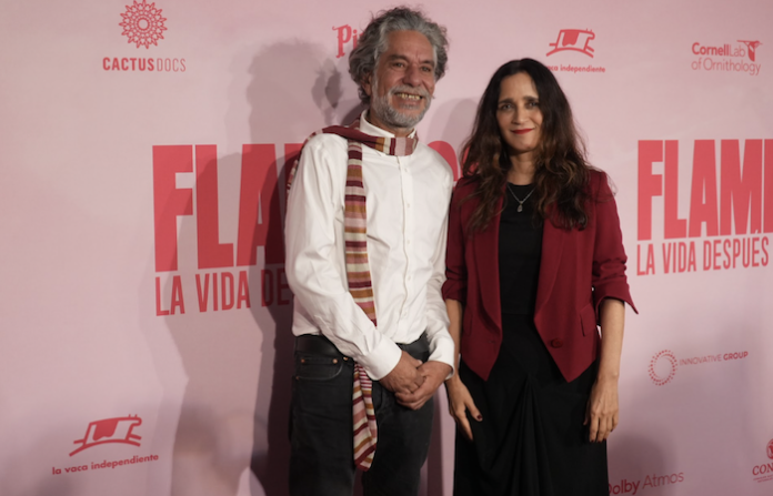 Julieta Venegas presta su voz a “Flamingos”, un documental que mezcla ciencia y emoción