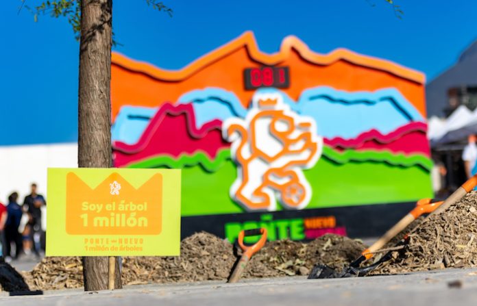 Nuevo León presume millón de árboles y refuerza discurso verde del Gobierno