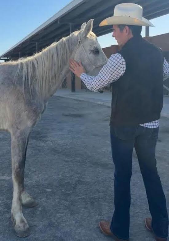 Miguel Flores llama a frenar el maltrato animal con acciones concretas