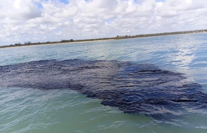 Golfo contaminado… y sin culpables: la opacidad que persiste