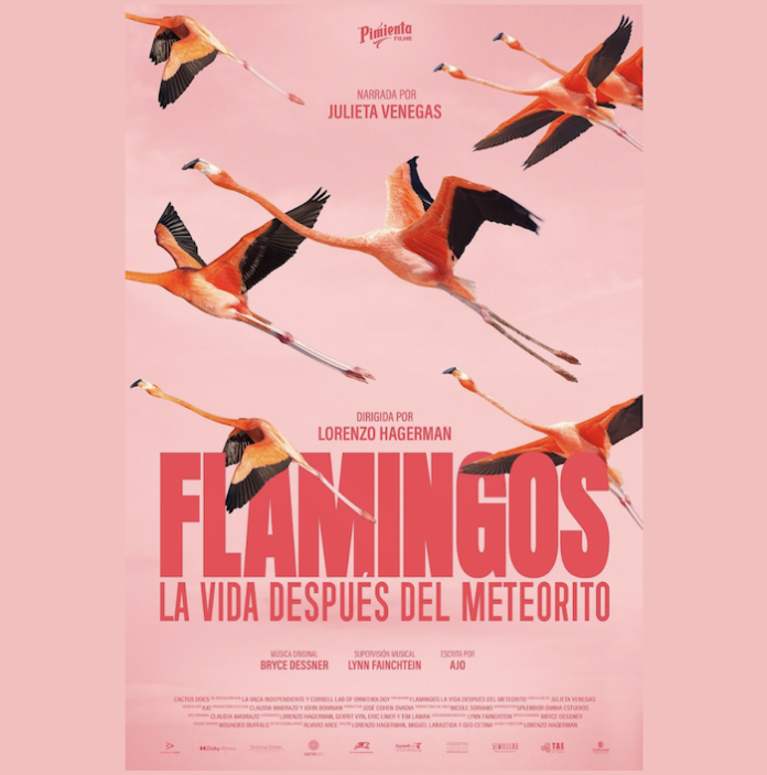 En el Día Mundial de la Naturaleza anuncian el estreno de “Flamingos: la vida después del meteorito”