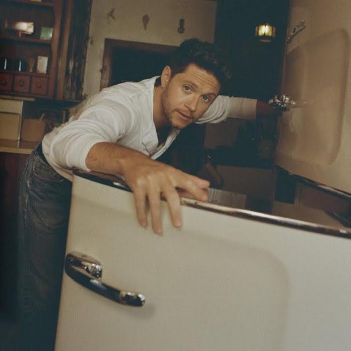 Niall Horan anuncia nueva música tras tres años de silencio