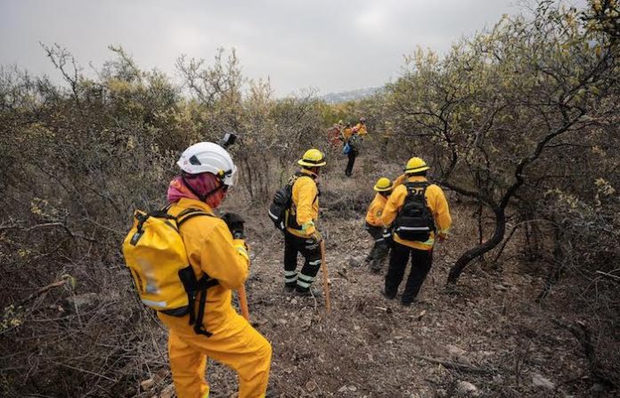 San Pedro fortalece brigadas contra incendios forestales con capacitación especializada