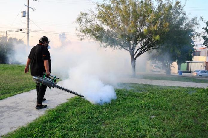 Guadalupe refuerza acciones contra el dengue ante temporada de calor