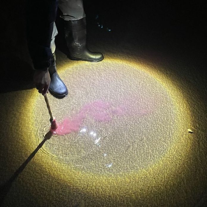 “Escrito en Agua”: Diles que no me maten abre una nueva etapa con disco y gira mundial