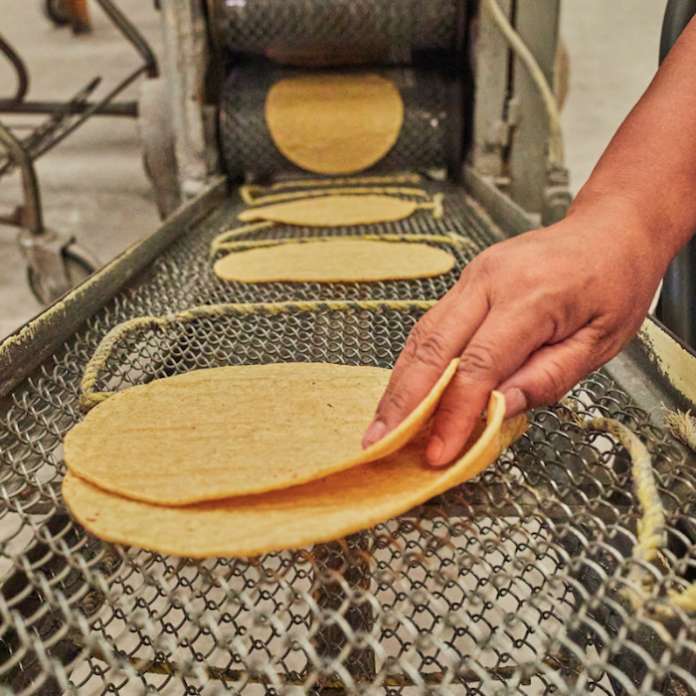 “No hay ninguna razón para el aumento del precio de la tortilla”, dice Sheinbaum