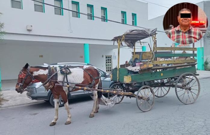 Cae sujeto por brutal maltrato a yegua en Monterrey; golpeaba a “La Pinta” para jalar carreta