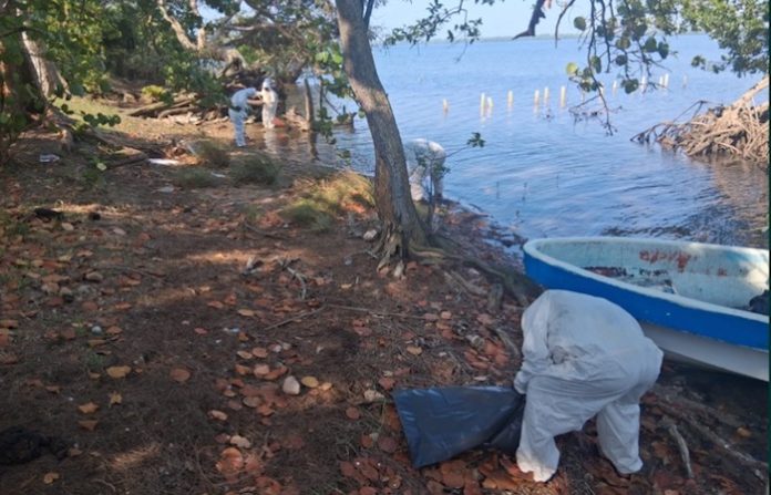 Reportan nueva fuga de hidrocarburos en el golfo de México