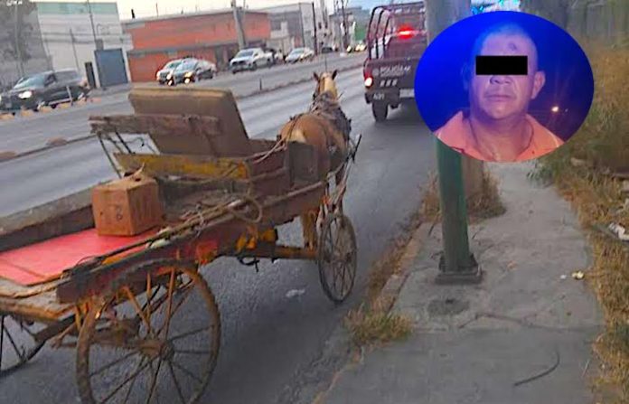 Detienen a hombre por presunto maltrato animal contra caballo en Monterrey