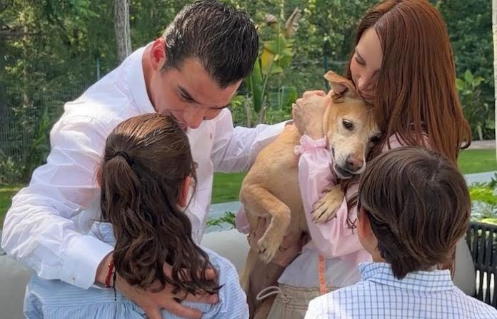 Rescate de “Caramela” impulsa llamado a la adopción responsable en Nuevo León