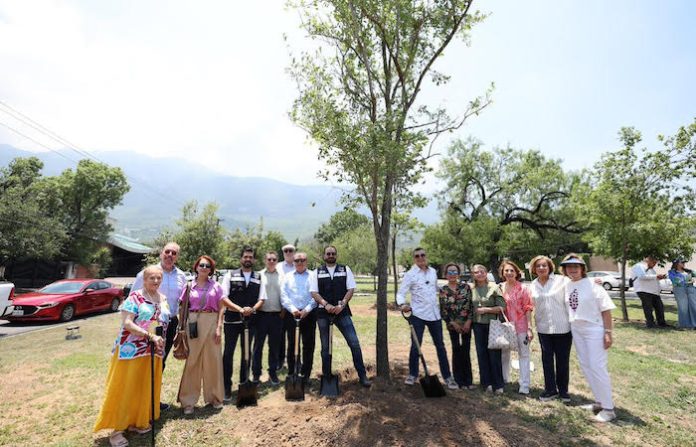 San Pedro impulsa reforestación con árboles gigantes en Calzada del Rosario