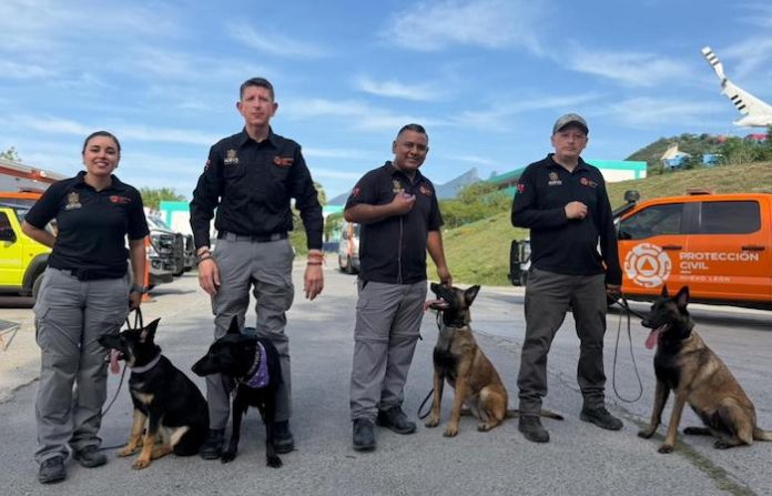Nuevas heroínas de cuatro patas: Yanda, Furia y Harley llegan a Protección Civil NL