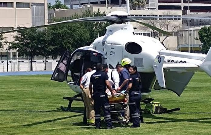 Ataque de abejas deja un muerto y dos personas lesionadas en la Sierra de Santiago