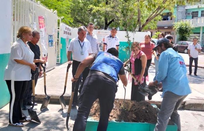 Monterrey apuesta por más áreas verdes; Adrián de la Garza impulsa jornadas de reforestación