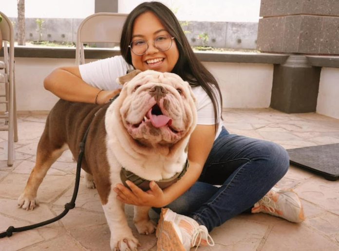 Más de 5 mil mascotas atendidas: Marisol González presume avance de brigadas de bienestar animal