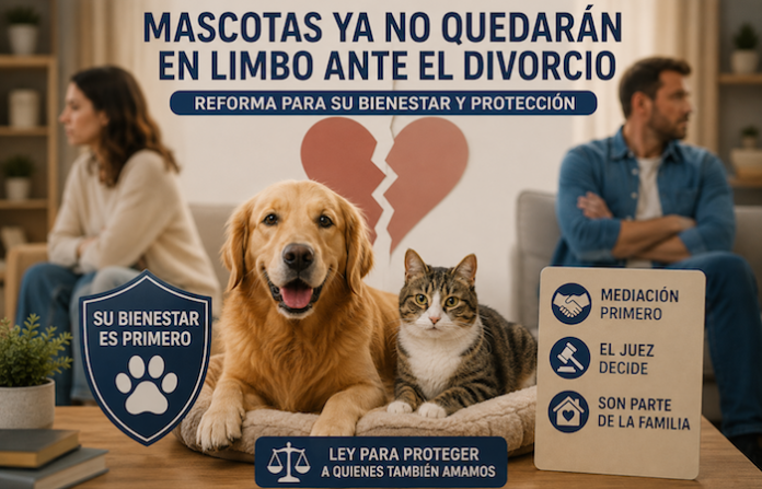 Mascotas ya no quedarían en el limbo tras divorcios en la entidad