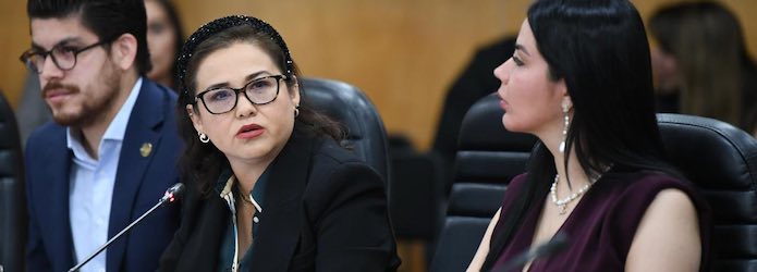 Quiere diputada Olguín que SAT e INE compartan información para fiscalizar publicidad política digital