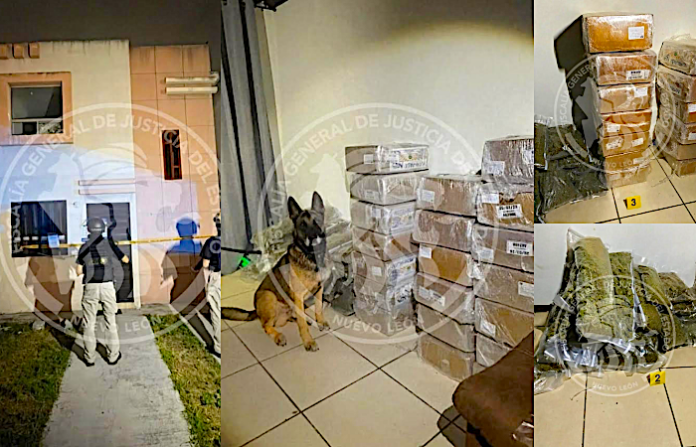 Aseguran más de 86 kilos de marihuana durante cateo en vivienda de Escobedo