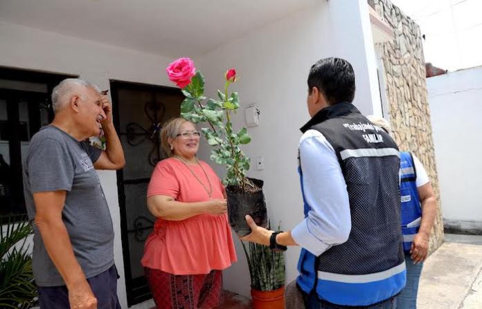 San Nicolás regala 125 mil rosales para celebrar a las madres