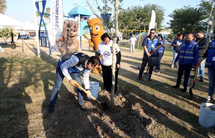 San Nicolás presume avances verdes: más de 6 mil árboles plantados y 126 toneladas de reciclaje recuperadas
