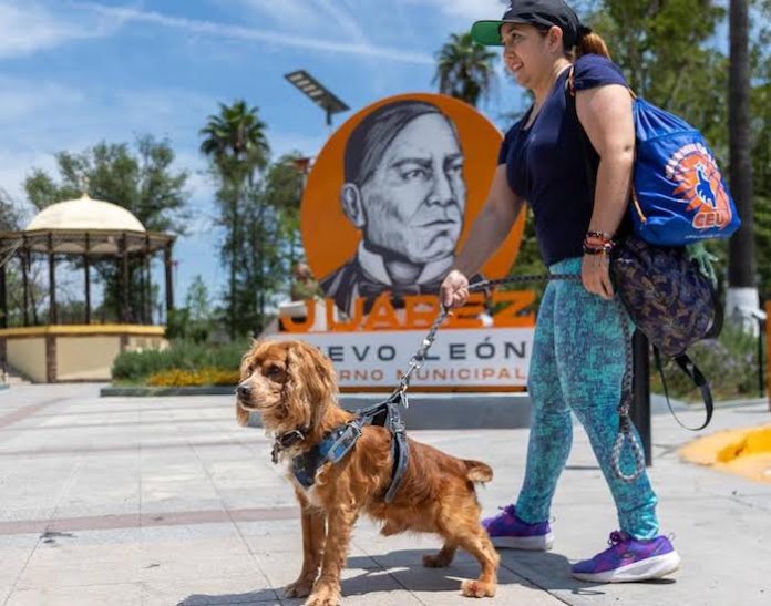 Juárez prepara jornada para promover la adopción y el bienestar de los perros