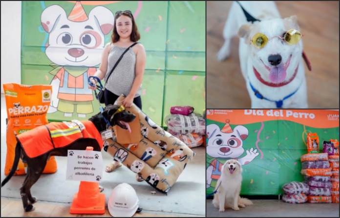 Juárez impulsa el bienestar animal con jornada de vacunación, adopciones y actividades familiares