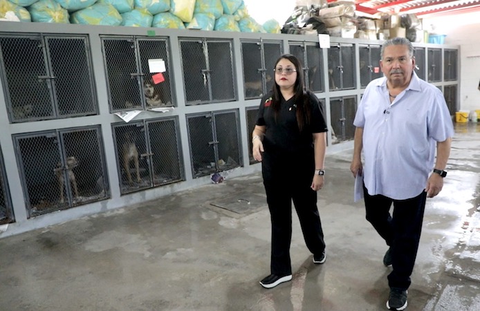 Escobedo fortalece la adopción de mascotas y busca reducir el abandono animal