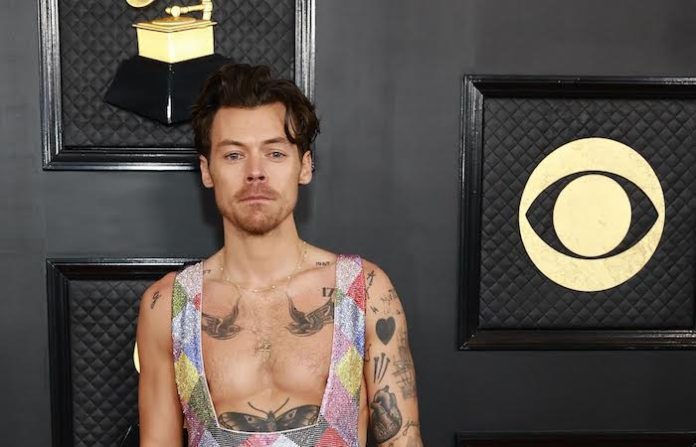 Harry Styles vive la victoria de Inglaterra a costa de sus fans mexicanos