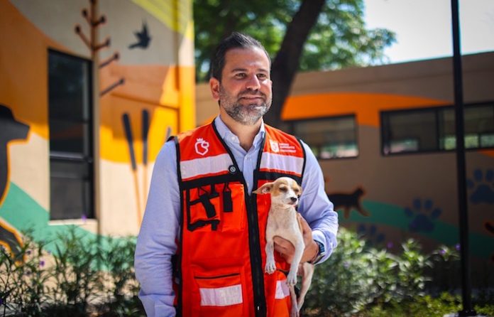 Refuerzan en NL la vacunación gratuita para perros y gatos