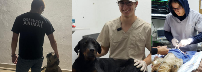 Del rancho a las redes: el joven veterinario de Nuevo León que está conquistando internet enseñando a cuidar a los animales