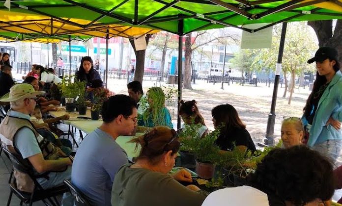 Monterrey promueve educación ambiental con “Alameda de Pinta”