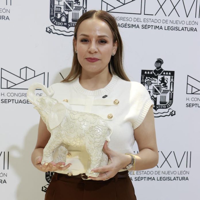 Aile Tamez exige salida de Hernán Villarreal y llama “elefante blanco” a la movilidad de Nuevo León