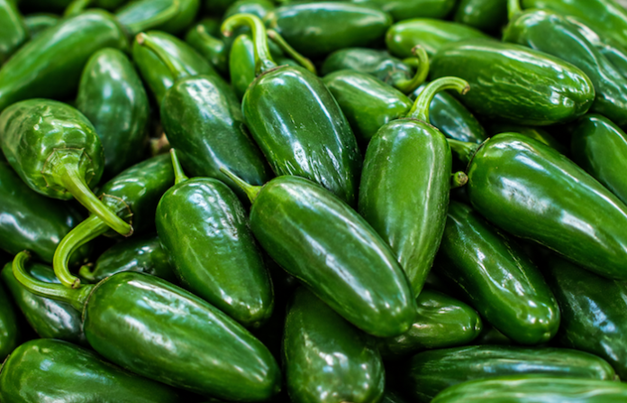México descarta presencia de salmonela en chiles jalapeños