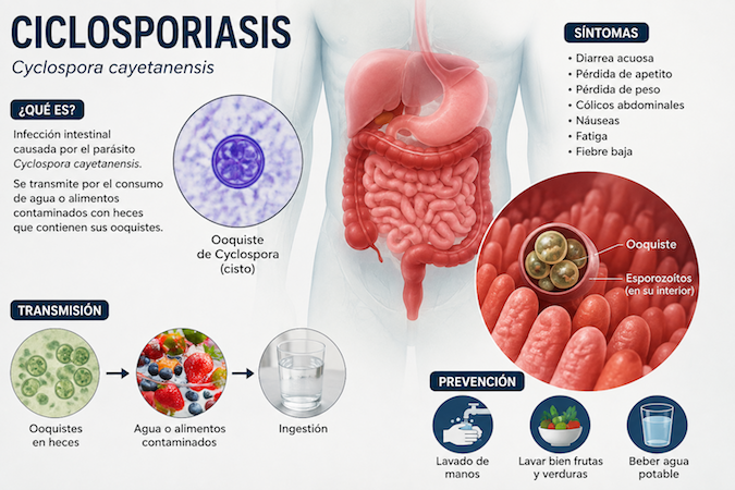 EU reporta mayor brote de ciclosporiasis en su historia con unos 10.000 casos desde mayo