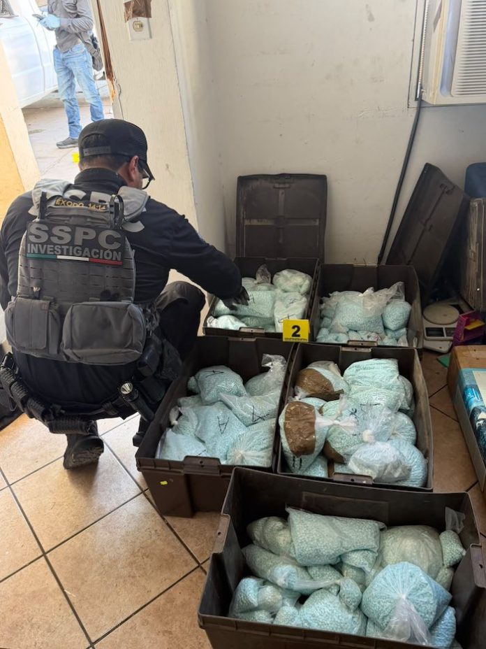 Video: México decomisa con información de la DEA unos 120 kilos de fentanilo en frontera con Estados Unidos