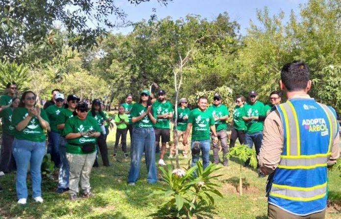 Monterrey impulsa reforestación en el Parque España con la plantación de 80 árboles nativos