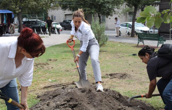 Perla Villarreal mantiene dos años de reforestación y suma la Plaza El Chorro al trabajo ambiental del Distrito 6