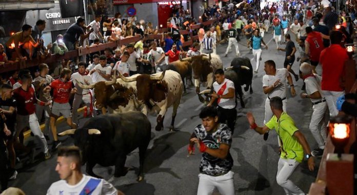 Video: Diez heridos en el primer encierro con toros de San Sebastián de los Reyes en España