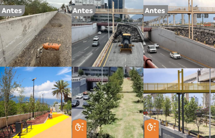 Bosques Ciudadanos supera 1.19 millones de árboles plantados