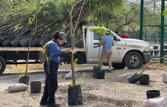 Monterrey planta 120 árboles nativos en jornada de forestación en Topo Chico