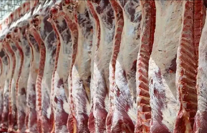 Mercado interno de carne vacuna en Argentina cae 11,3 % interanual en primeros ocho meses