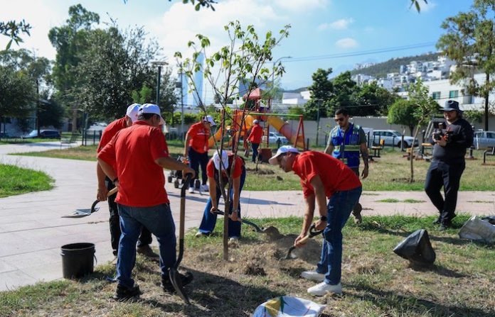 Monterrey planta 39 árboles nativos y entrega otros 200 en adopción
