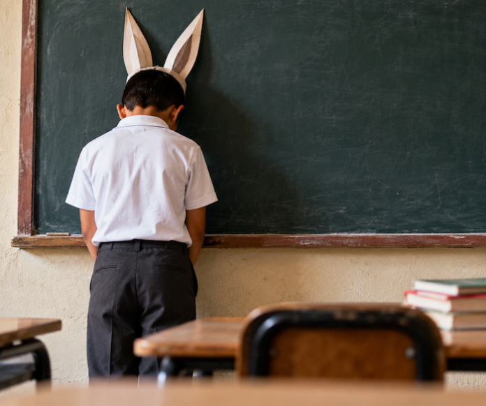 Baja el rendimiento de alumnos mexicanos en Matemáticas, Lectura y Ciencia, según OCDE