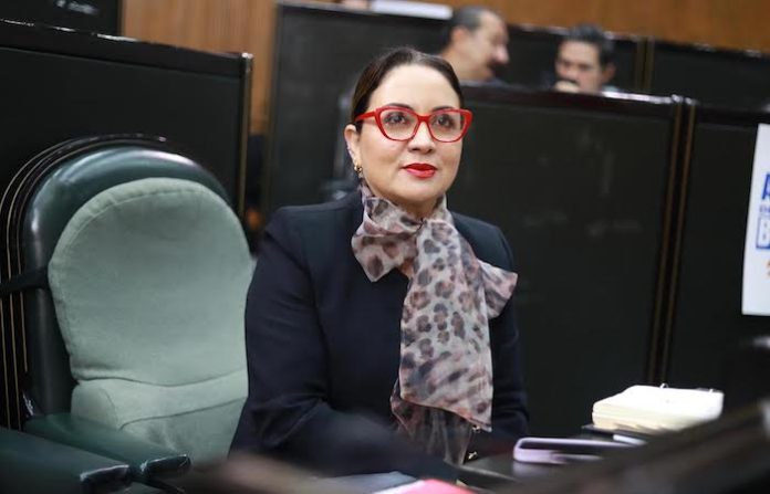 Proponen instalar cambiadores inclusivos para personas con discapacidad en espacios públicos