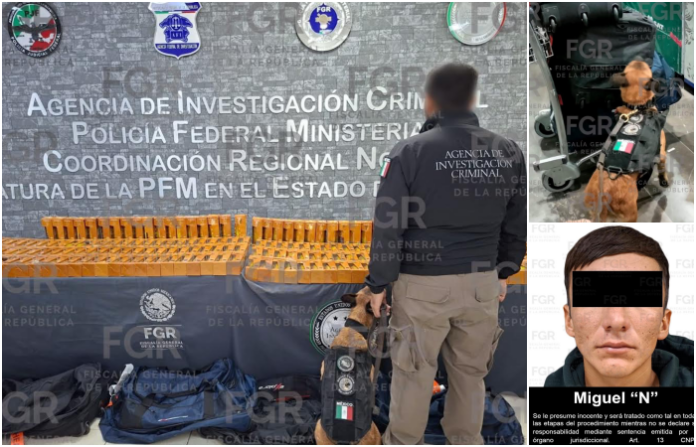 Pasajero llega de Colombia a Monterrey con 94.5 litros de cocaína ocultos en botellas de suplemento multivitamíni