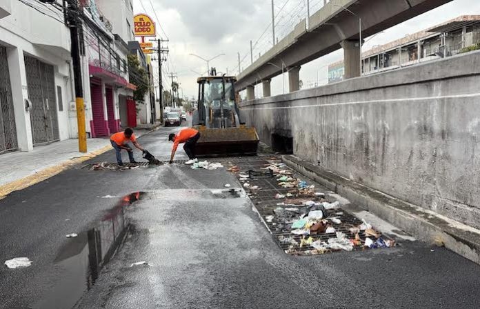 Lluvias dejan más de 120 toneladas de residuos y seis árboles caídos en Guadalupe