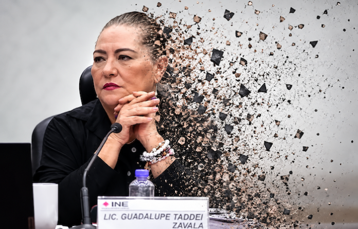 Guadalupe Taddei anuncia su renuncia al INE tras señalamientos por presuntos conflictos de interés