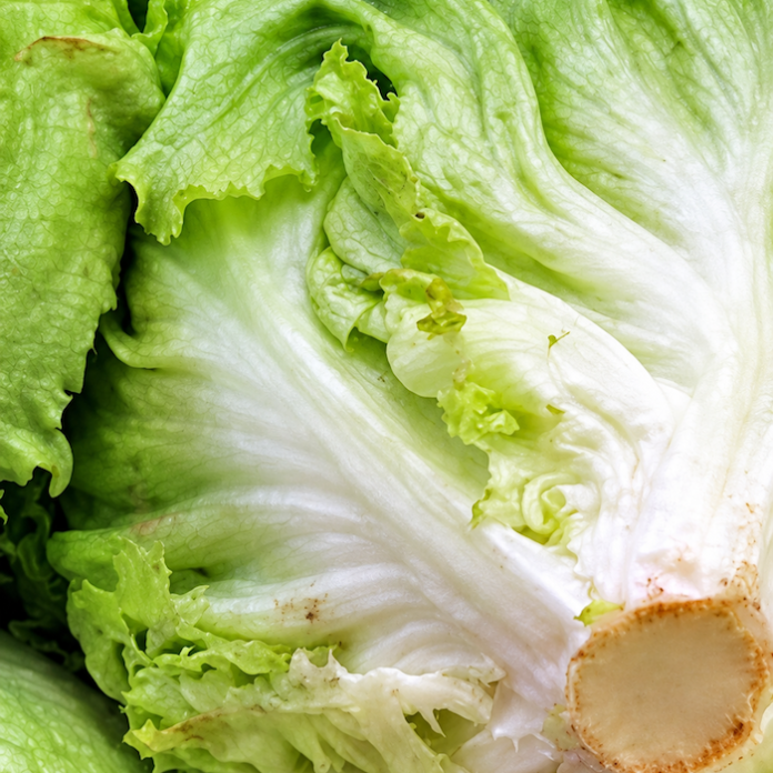 FDA concluye investigaciones de Salmonella y Cyclospora sin señalar a productos mexicanos como origen