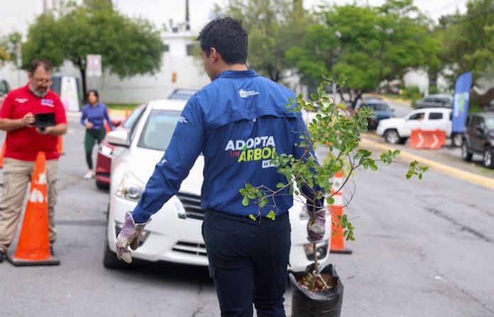 Monterrey impulsa reciclaje y reforestación con jornadas ambientales en parques